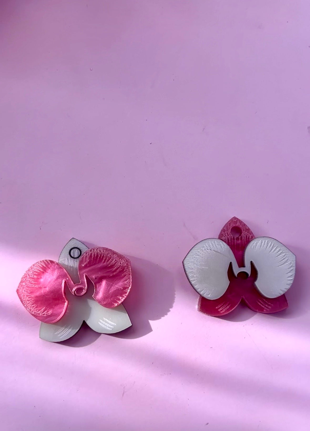 Orquidea maxi