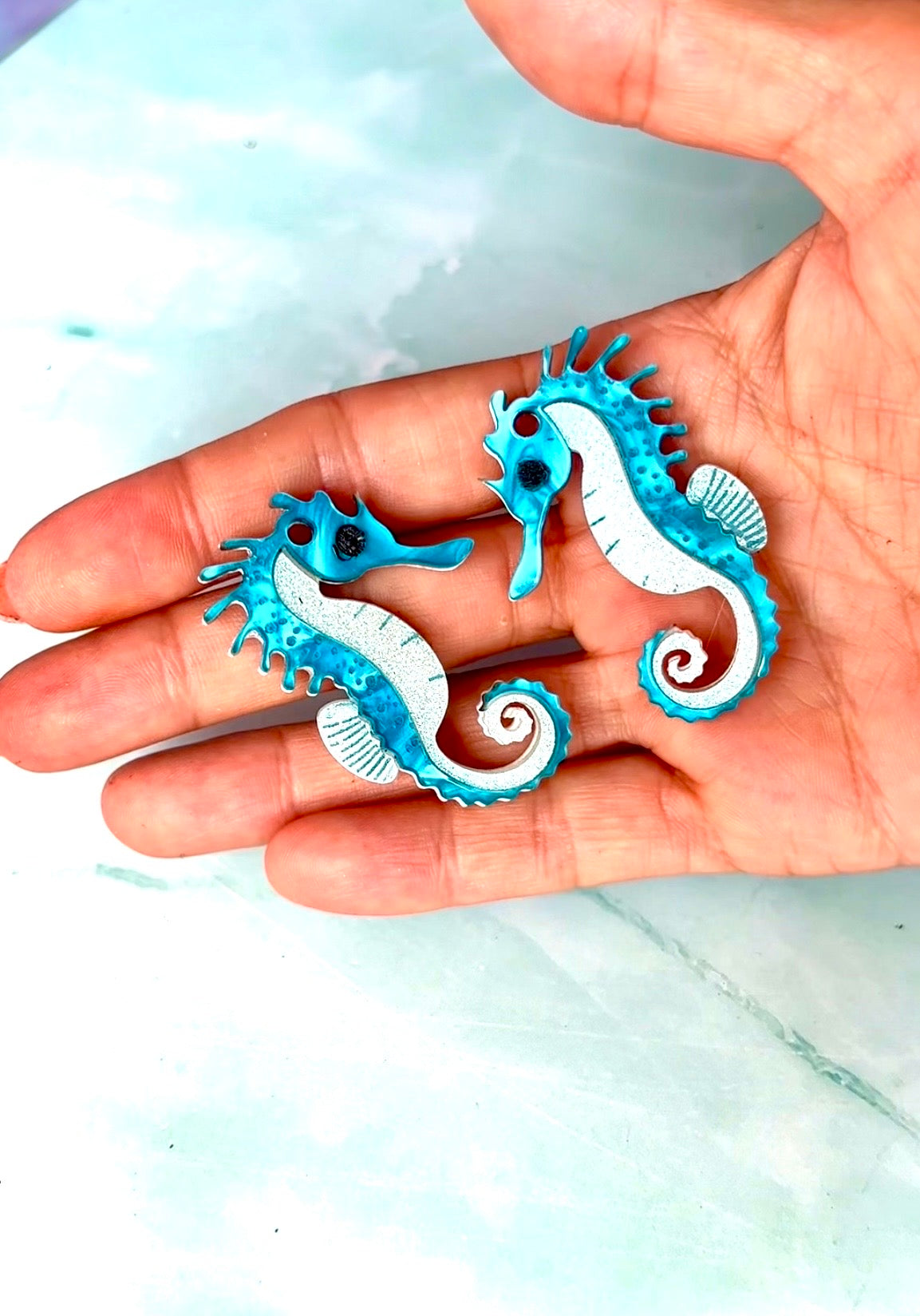 Mi Caballito de mar