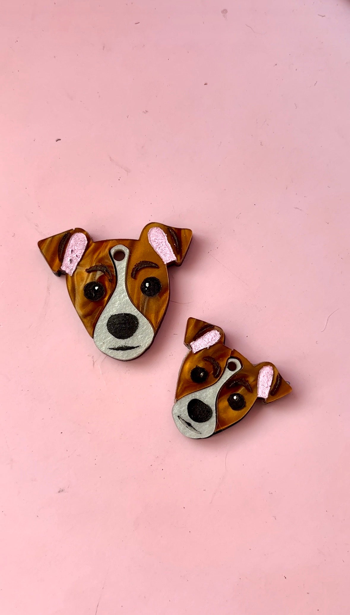 Jack Russell