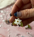 Narciso
