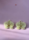 Mini Orquidea
