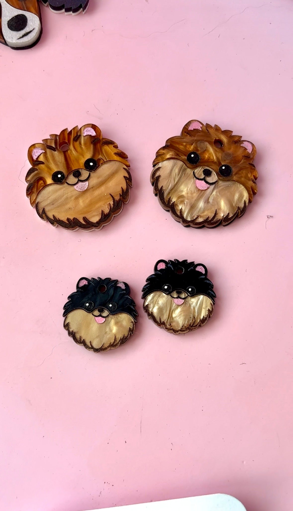 Pomerania