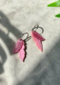 Plumas