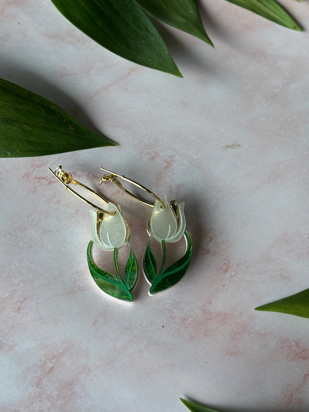Tulipan
