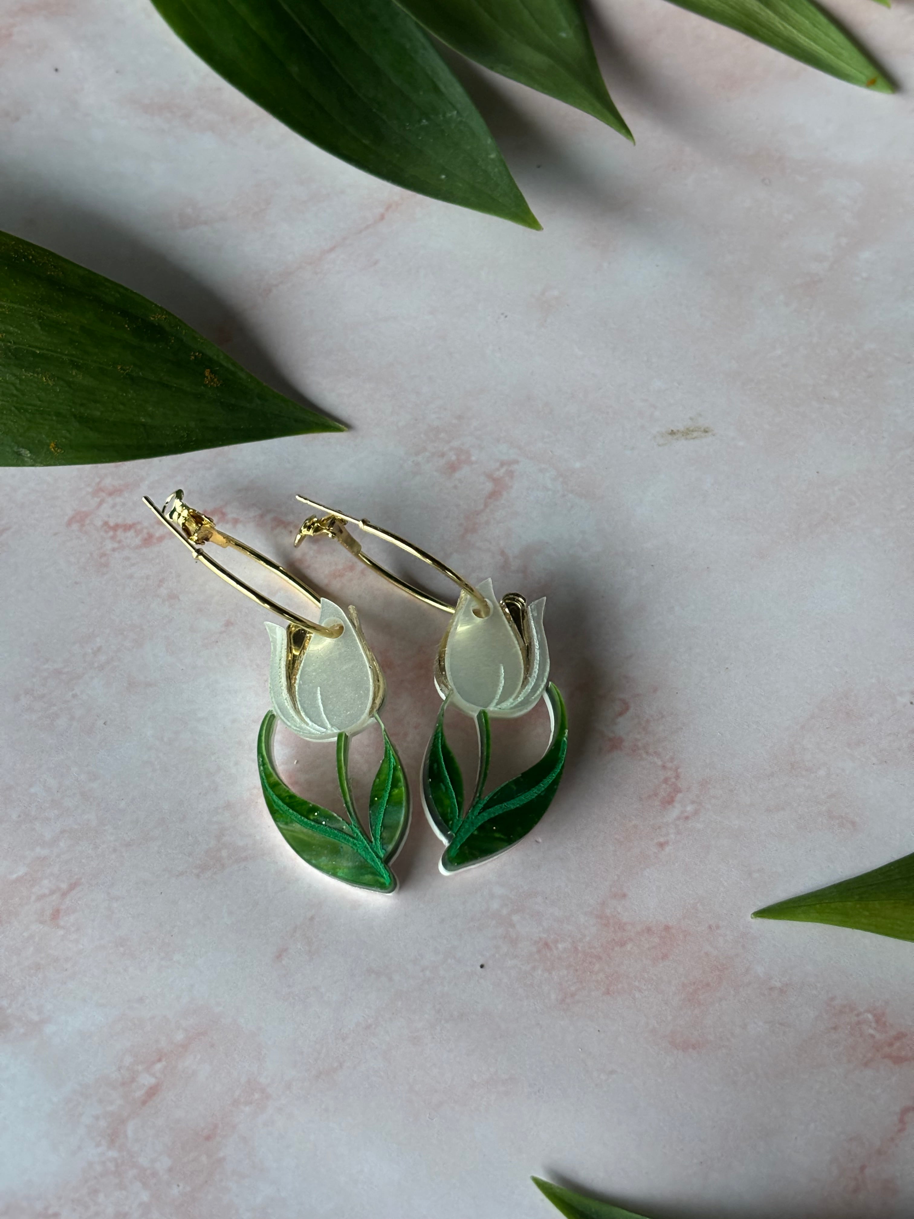Tulipan