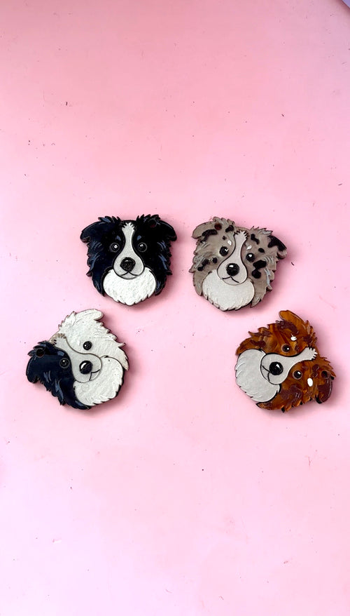 Border collie