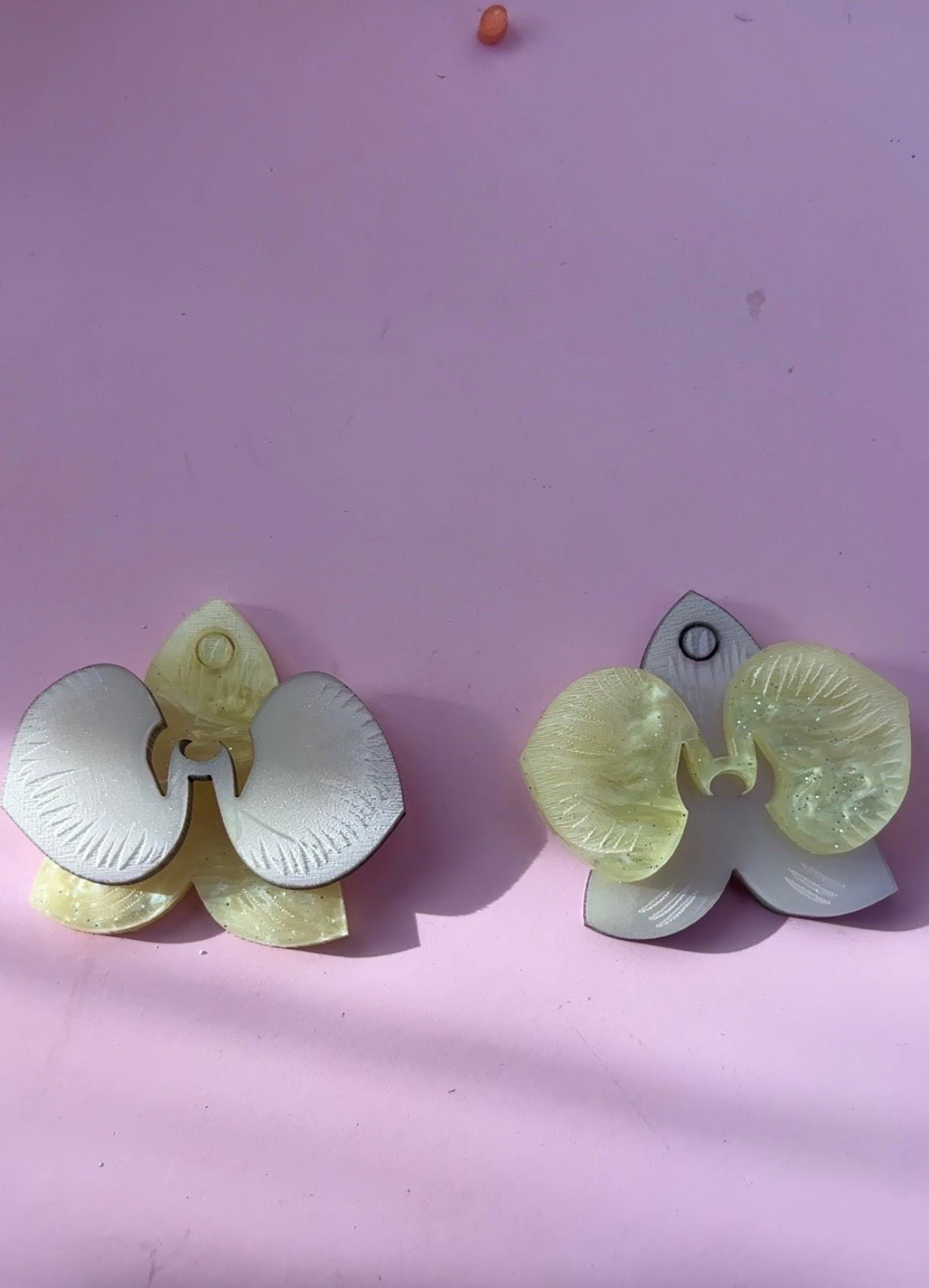 Orquidea maxi