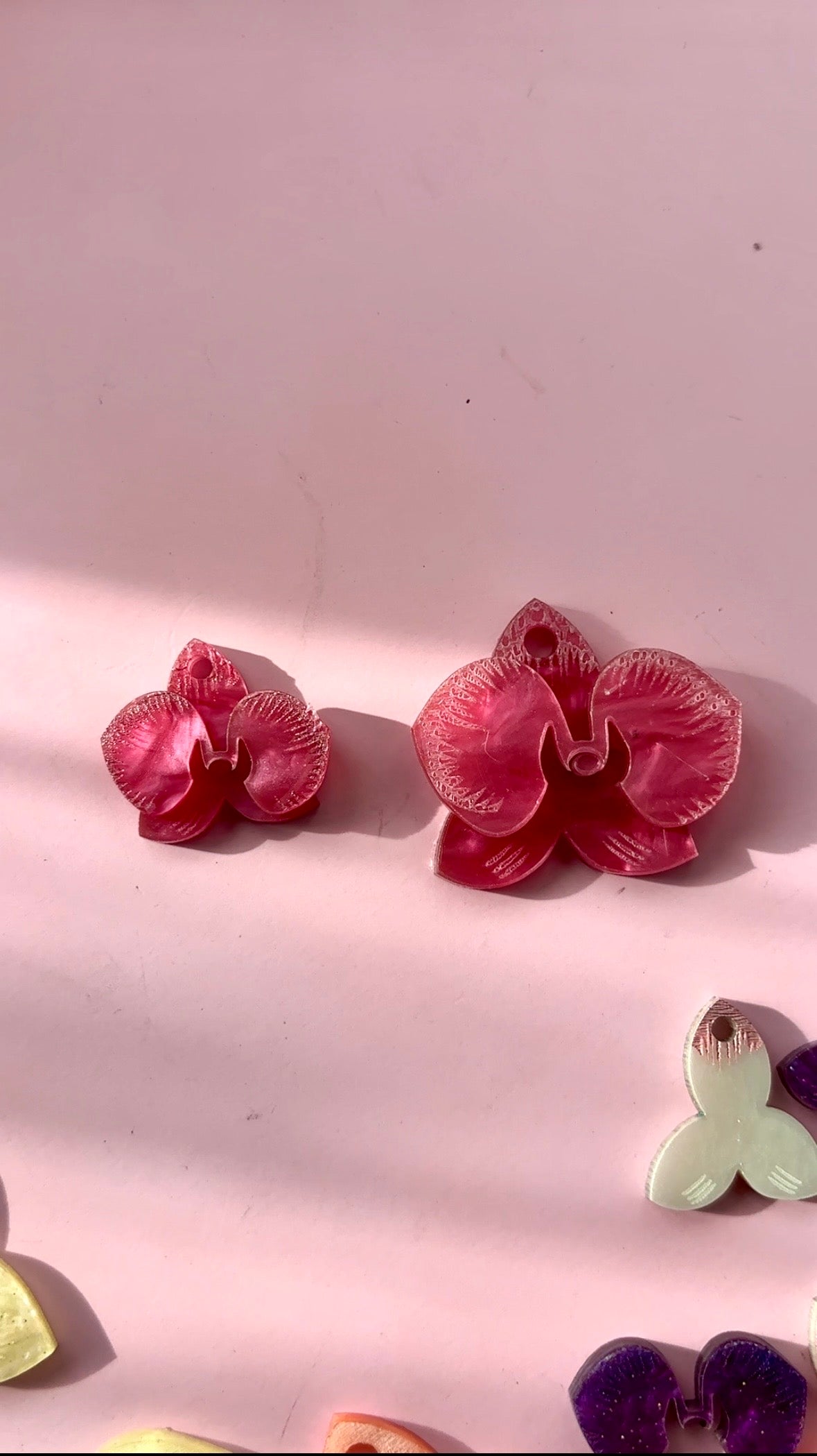 Orquidea maxi