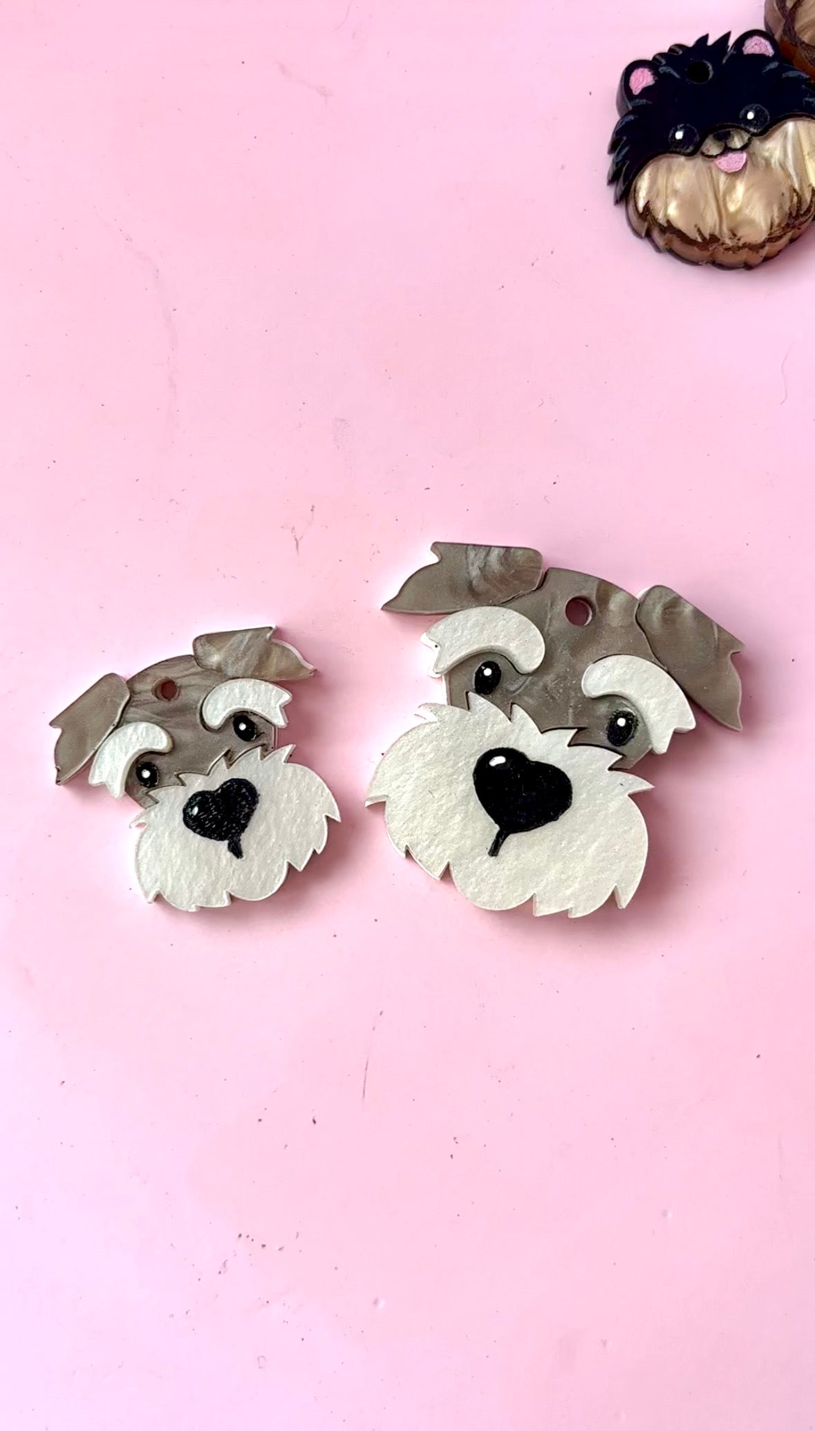 schnauzer