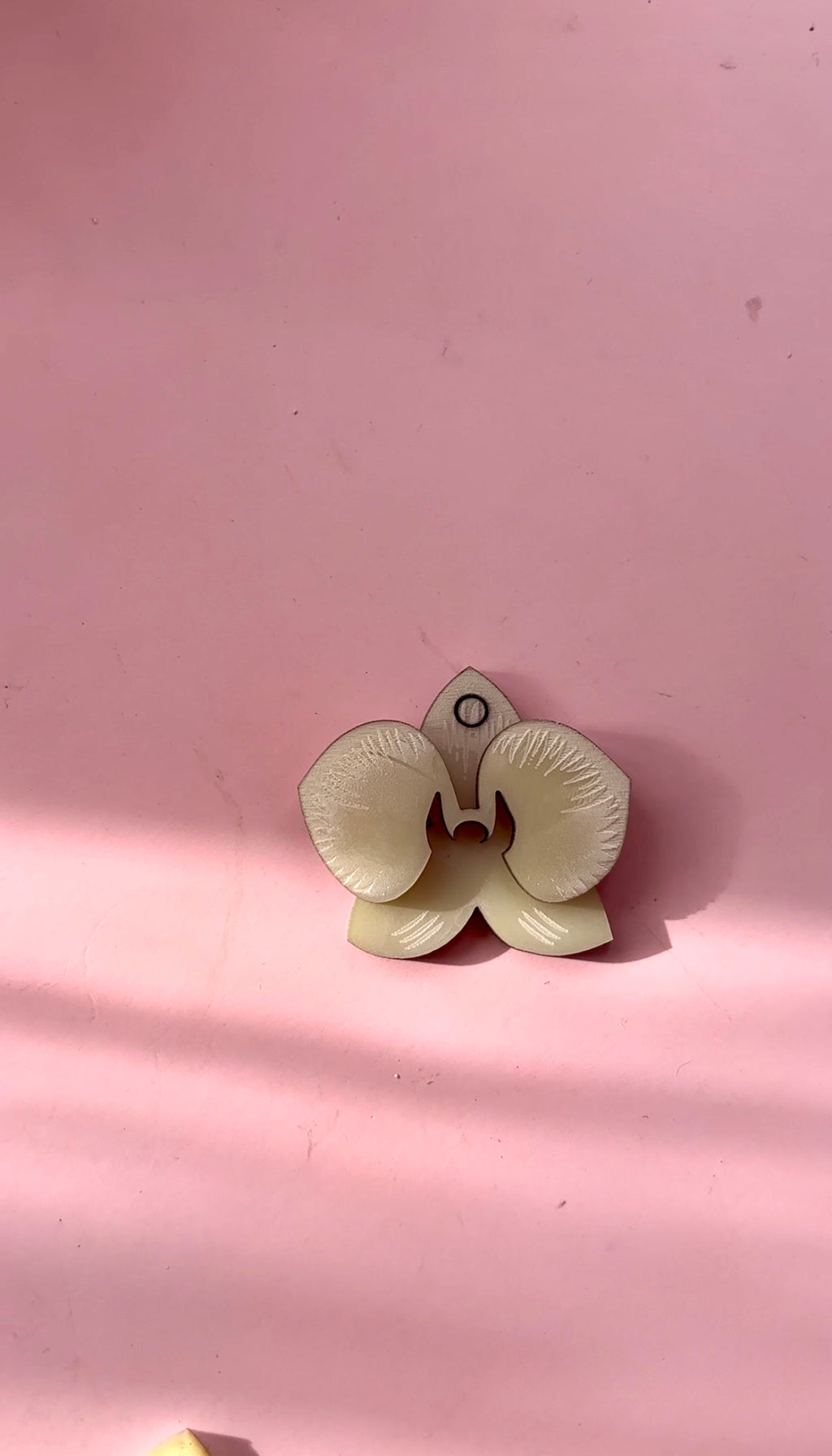Mini Orquidea