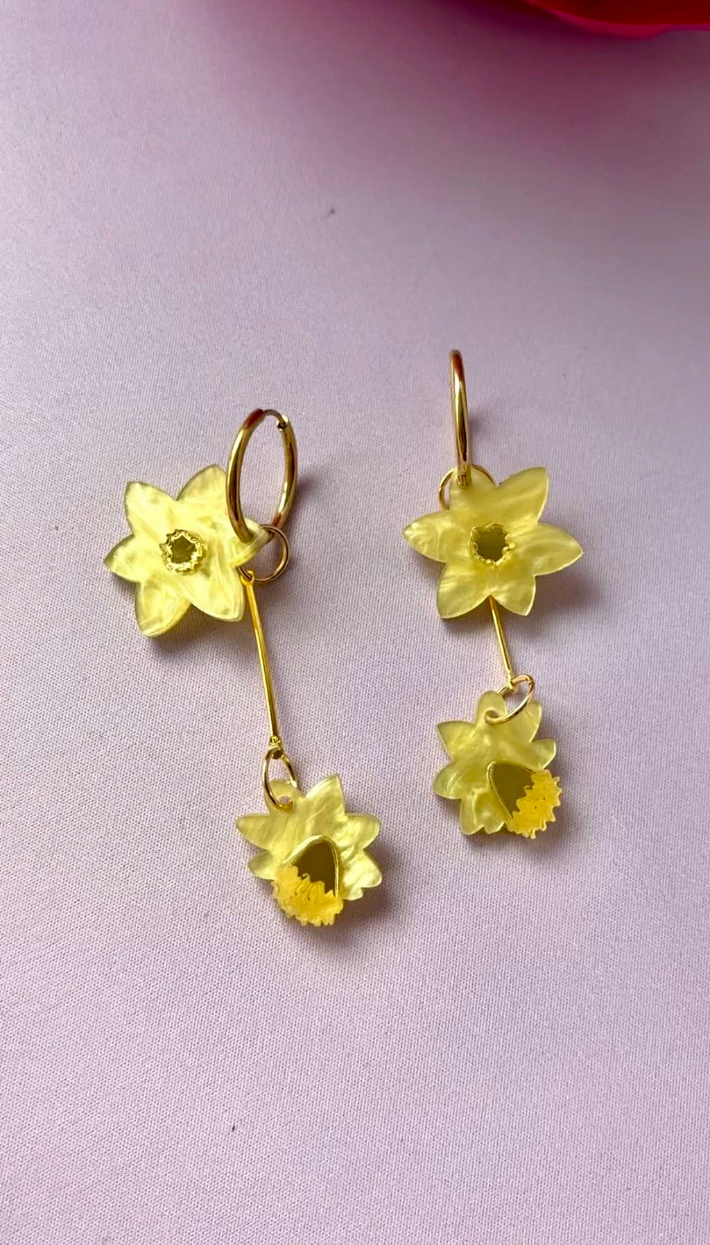 Narcisos