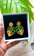 Monstera joya
