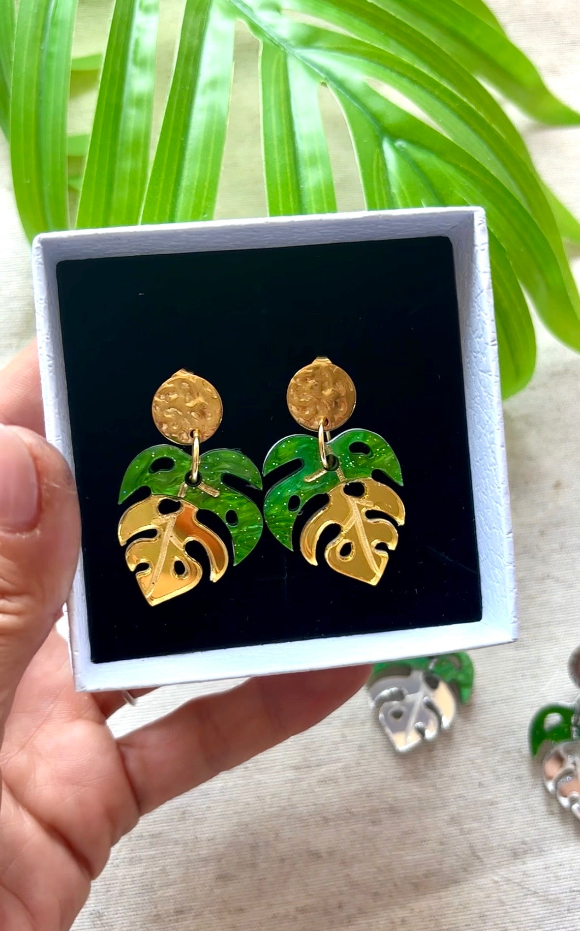 Monstera joya
