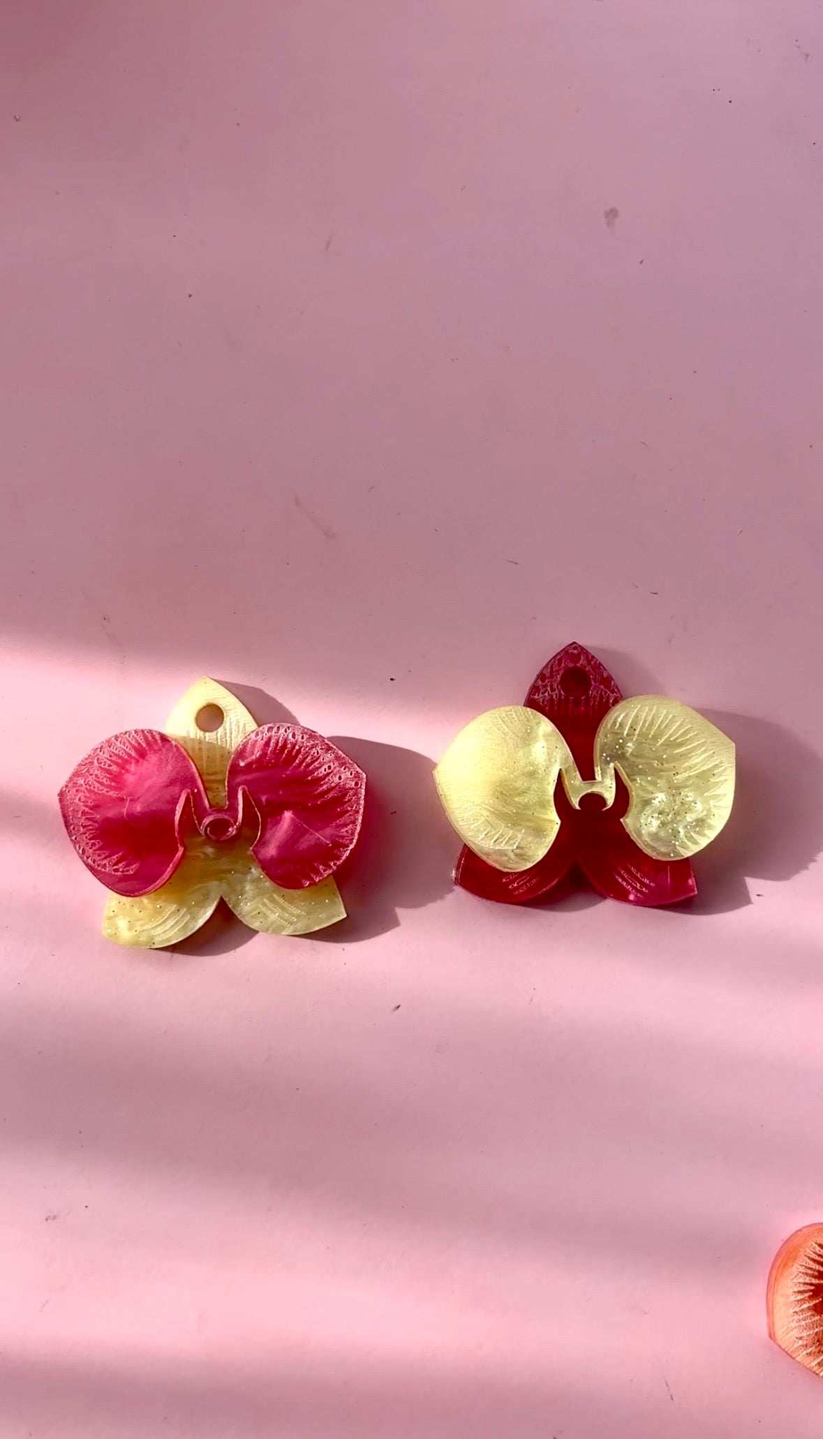 Orquidea maxi