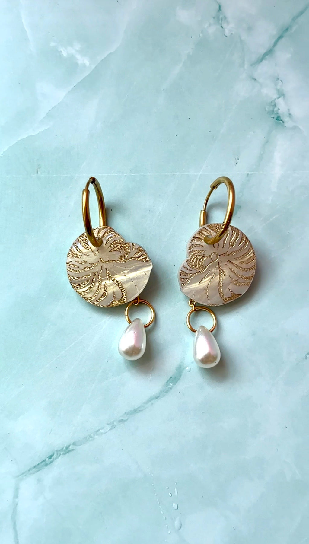 Nautilus