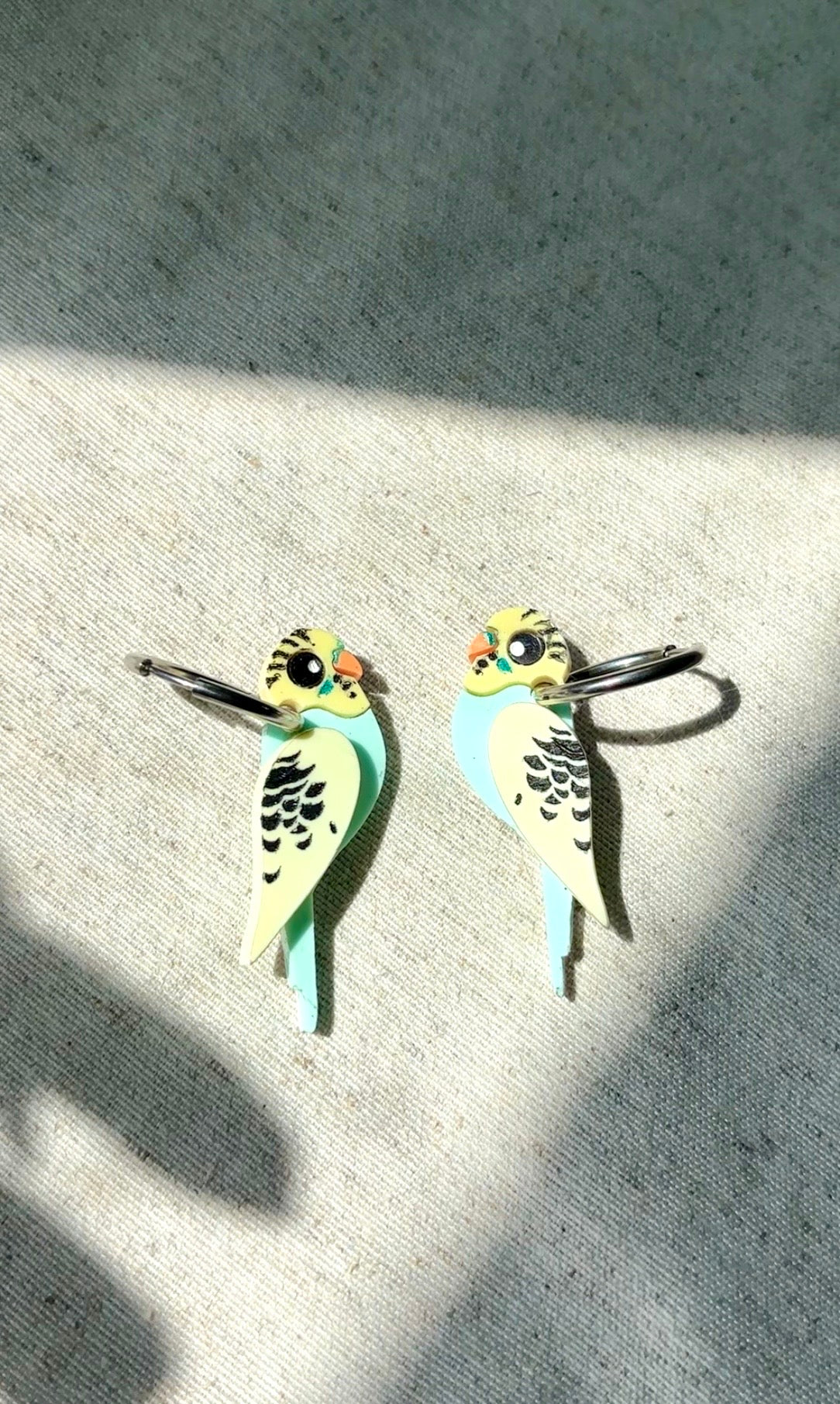 Amazonia unidad