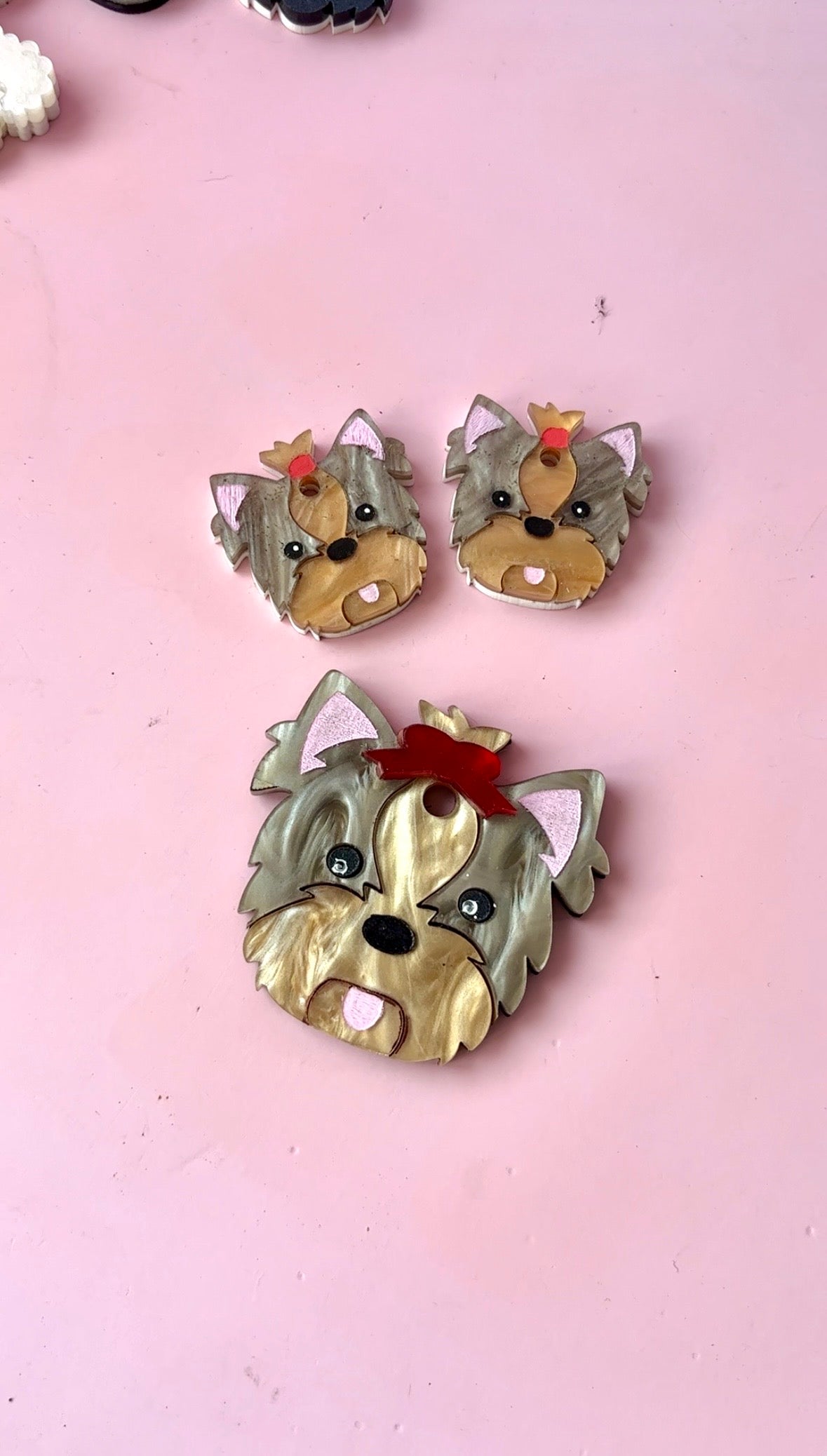 Yorkshire terrier
