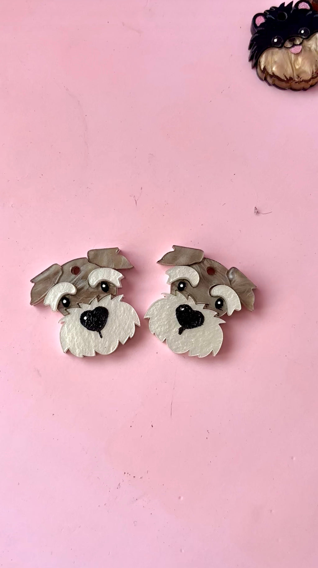 schnauzer