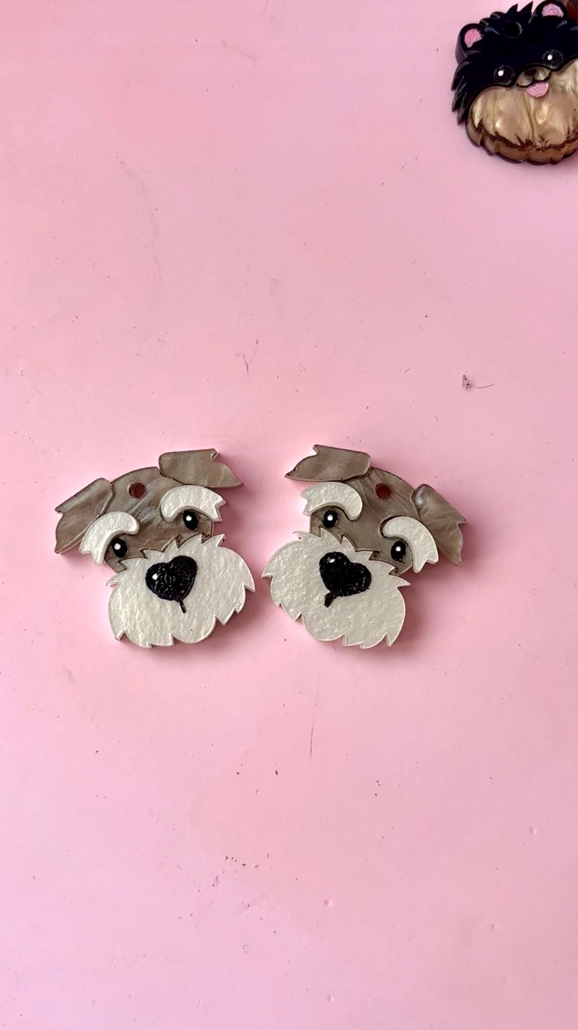 schnauzer