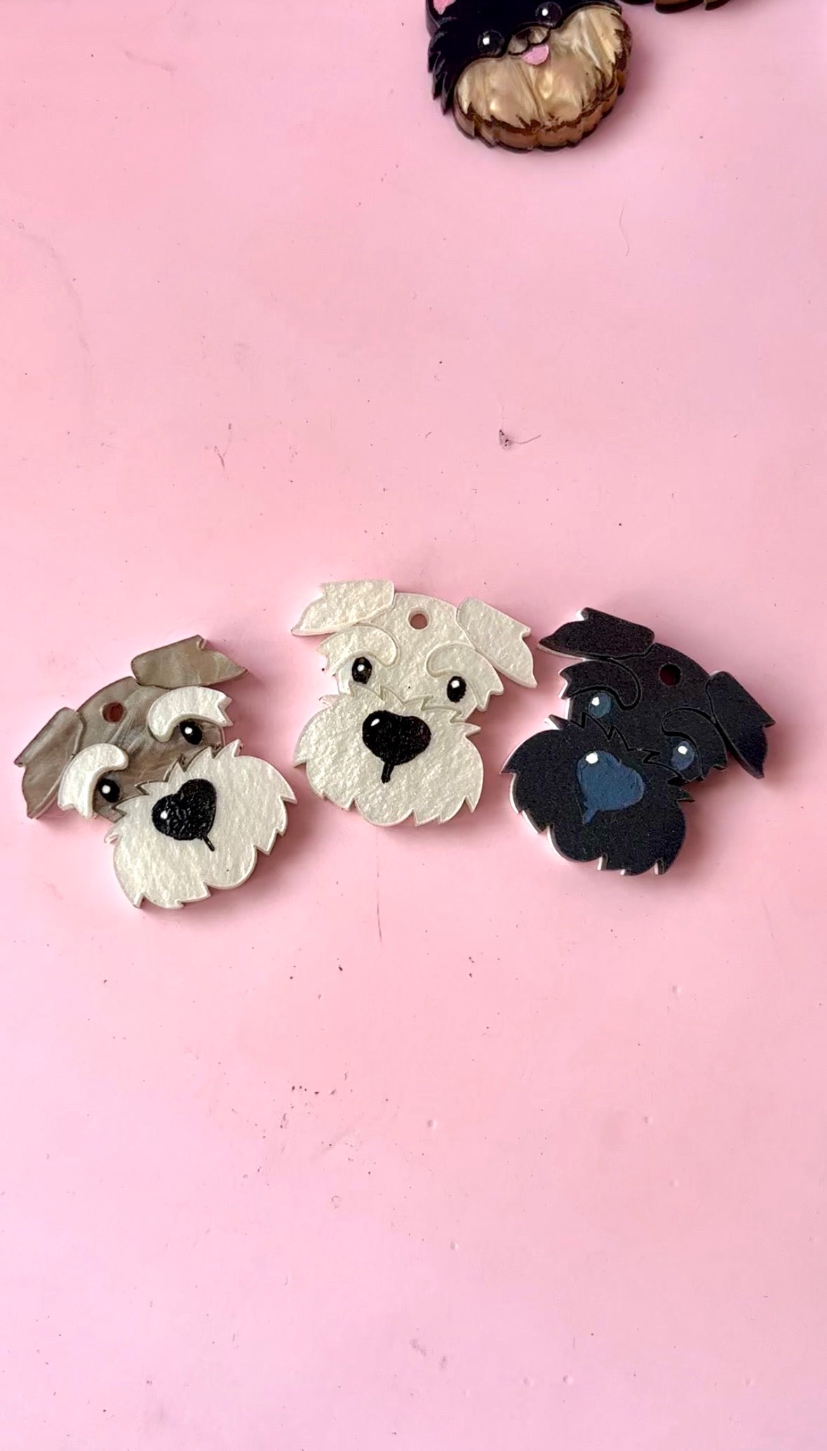 schnauzer