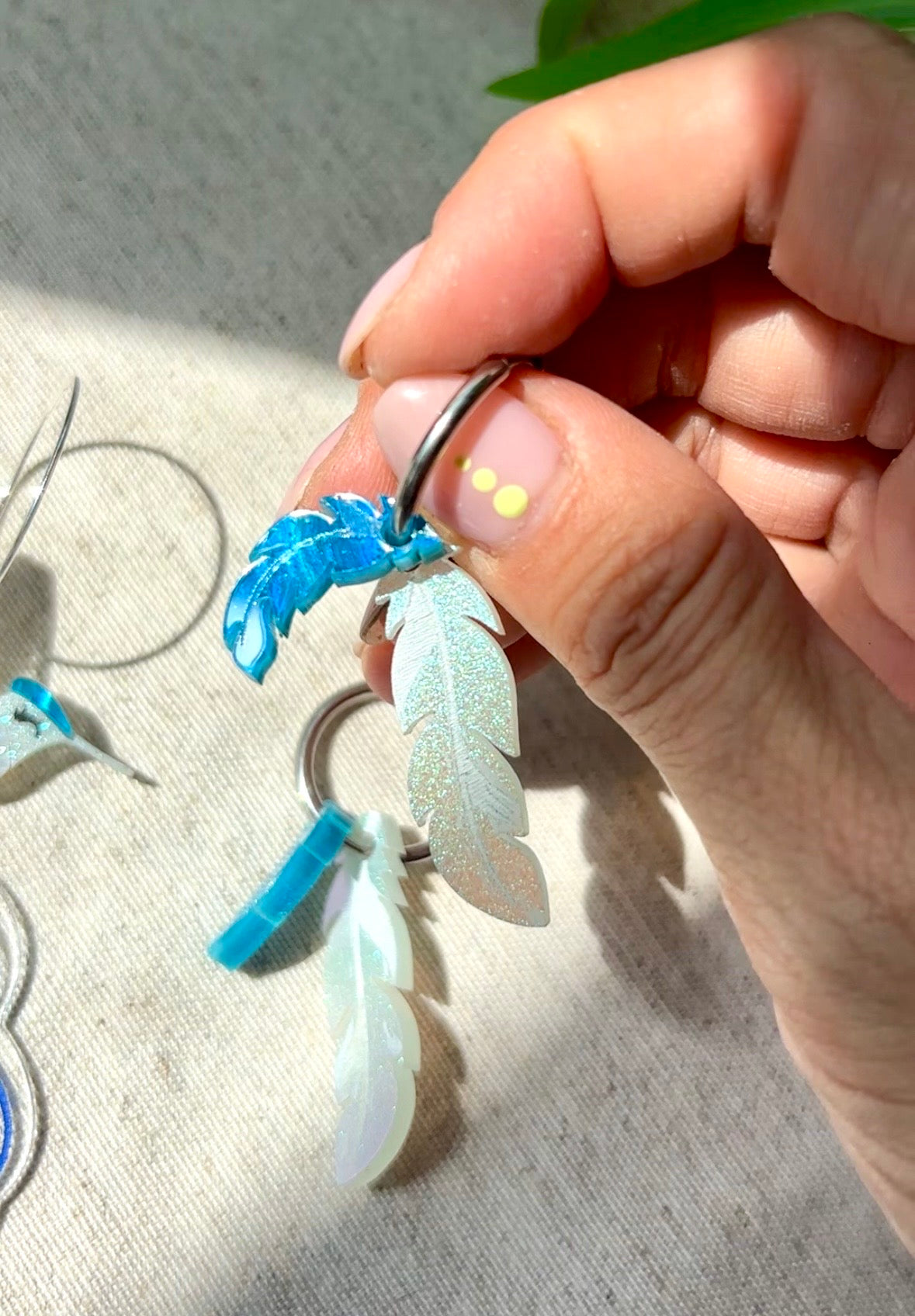 Plumas amazonia unidad