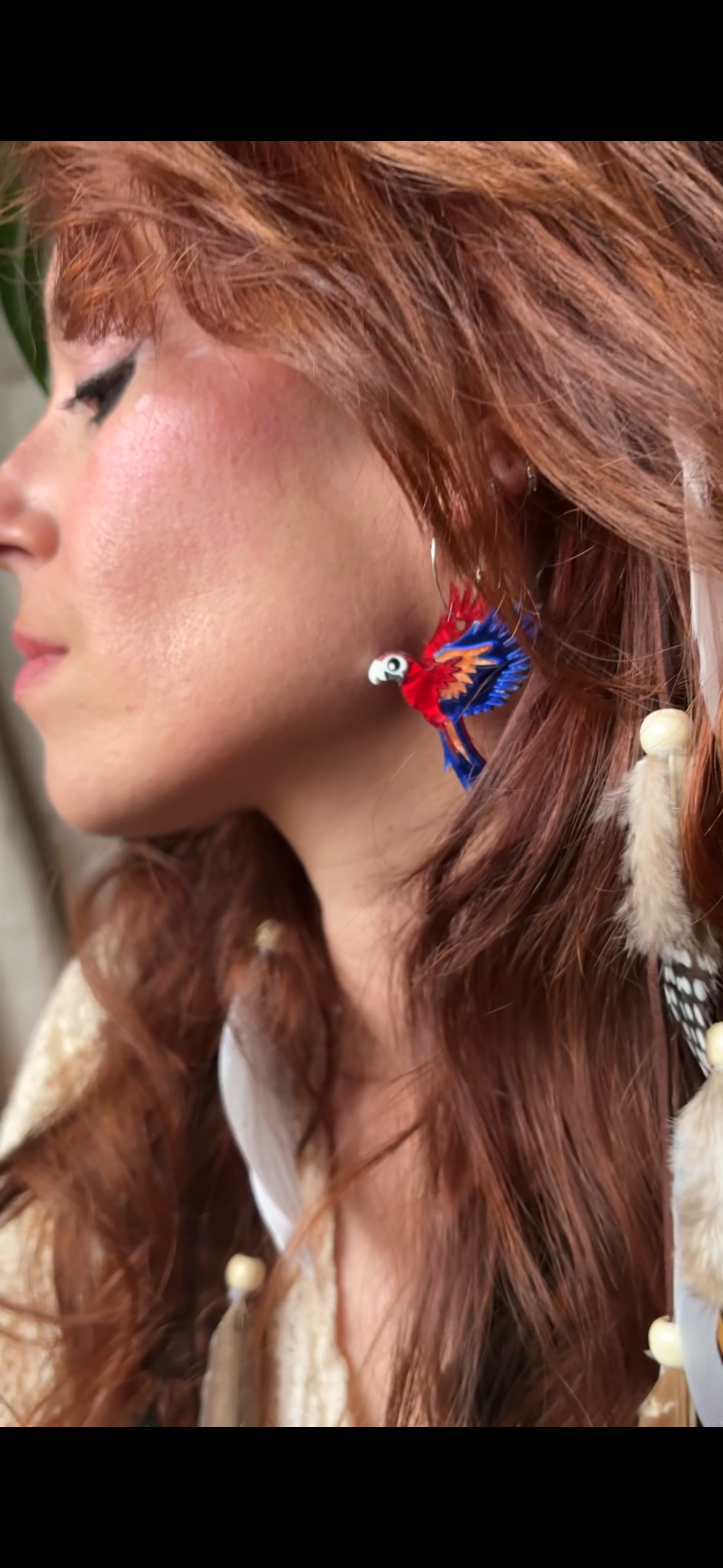 Guacamayo en vuelvo