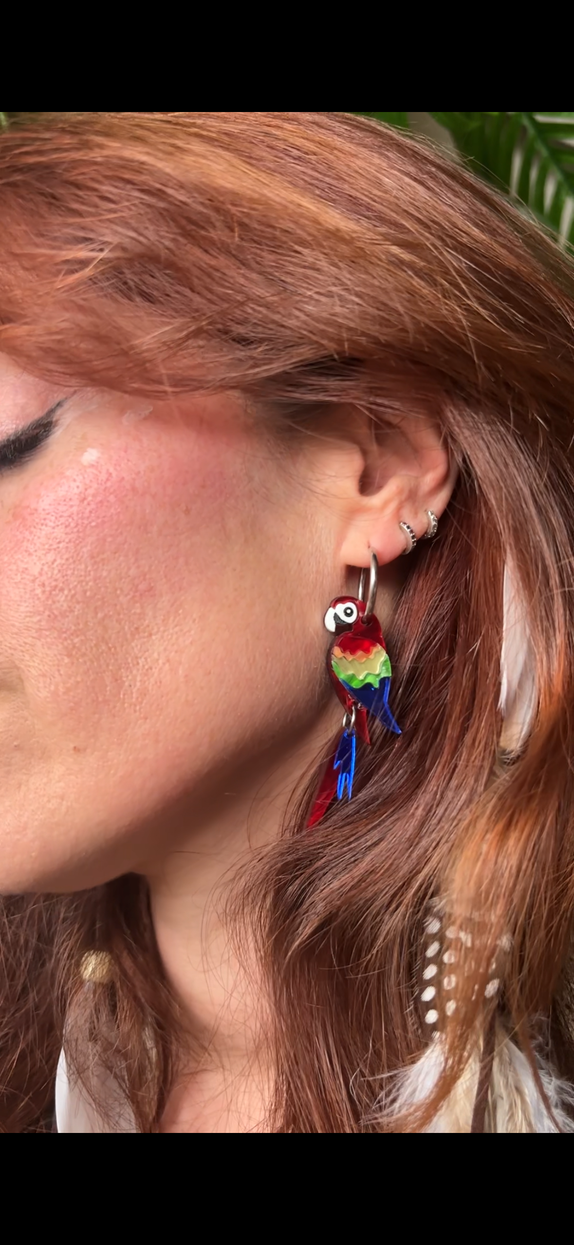Guacamayo
