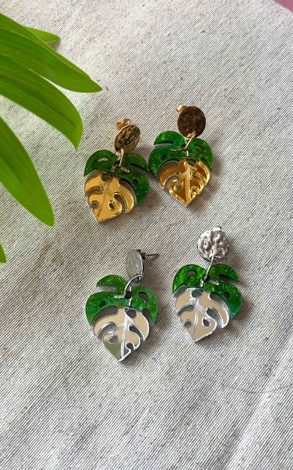 Monstera joya