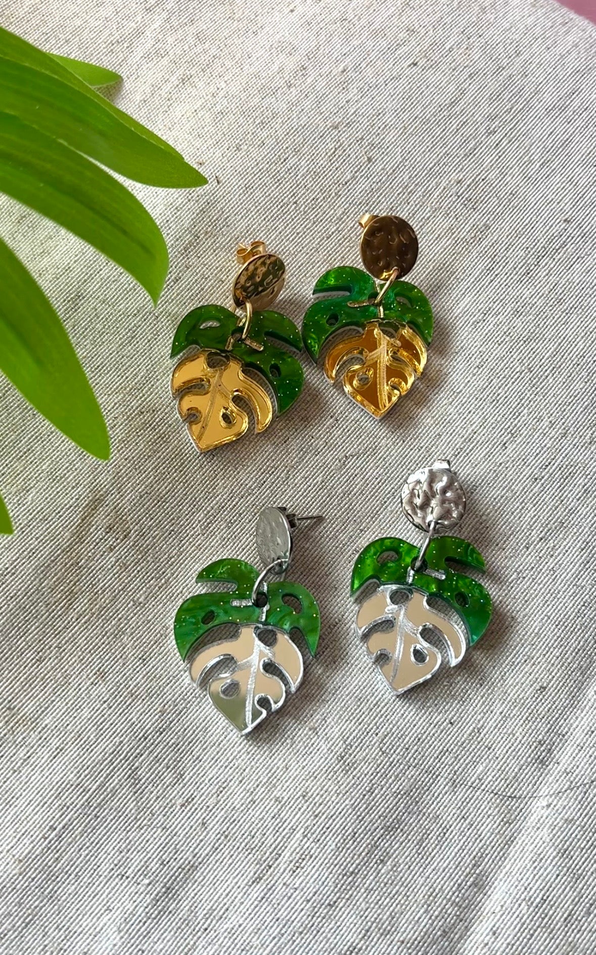Monstera joya