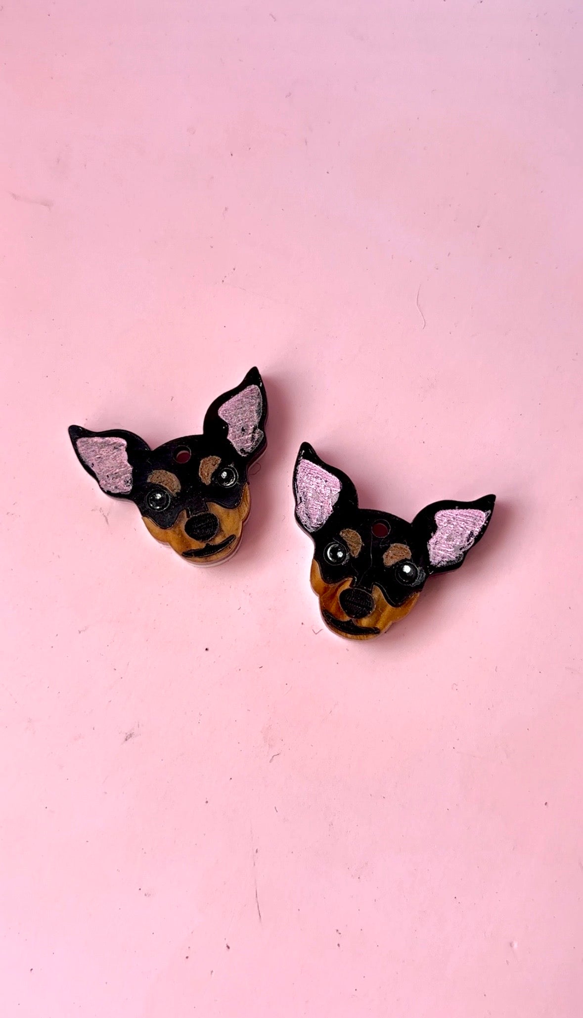 Pinscher
