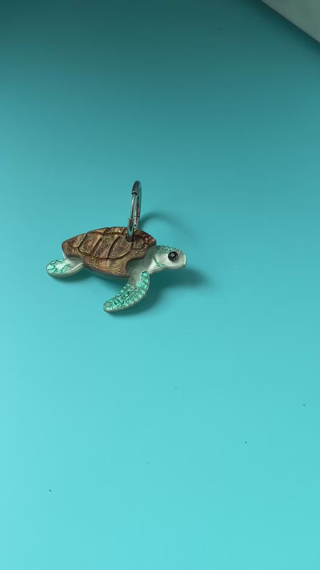 Tortuga marina