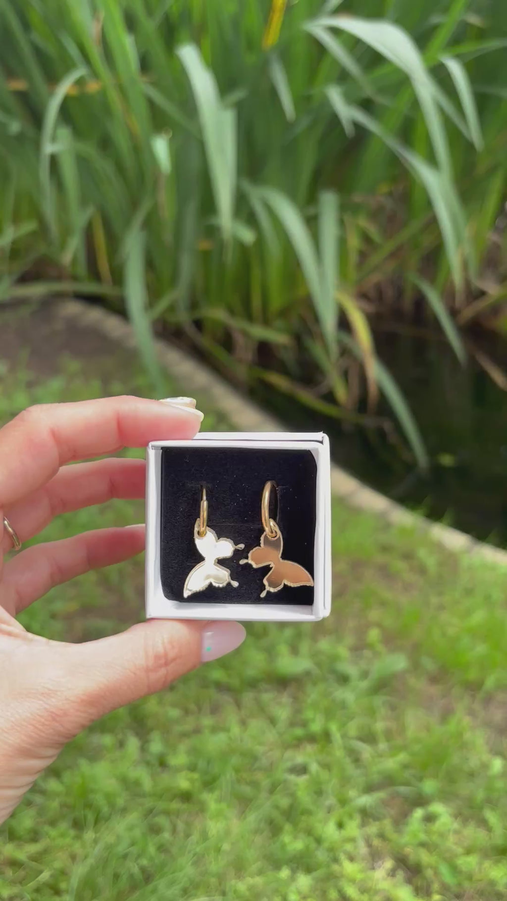 Minimariposa