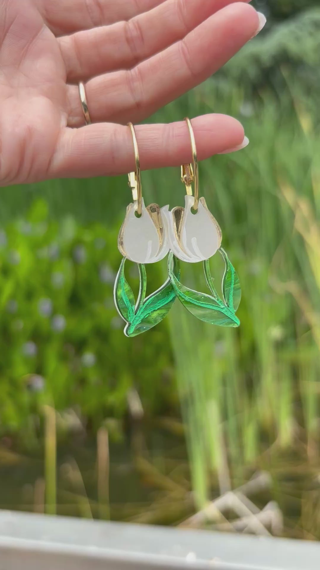 Tulipan